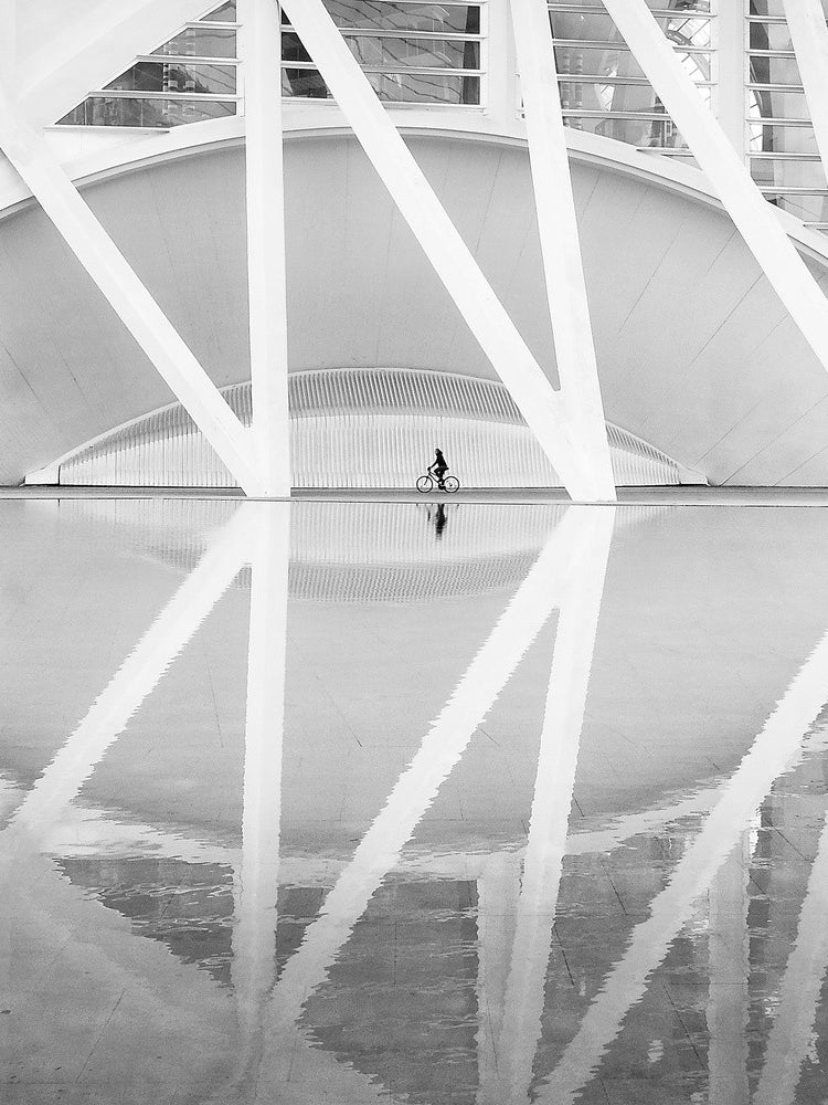 ciudad artes y las ciencias