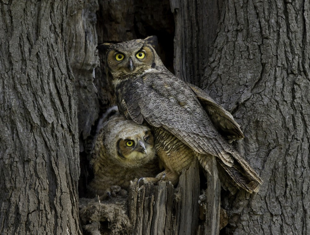 Taking care
