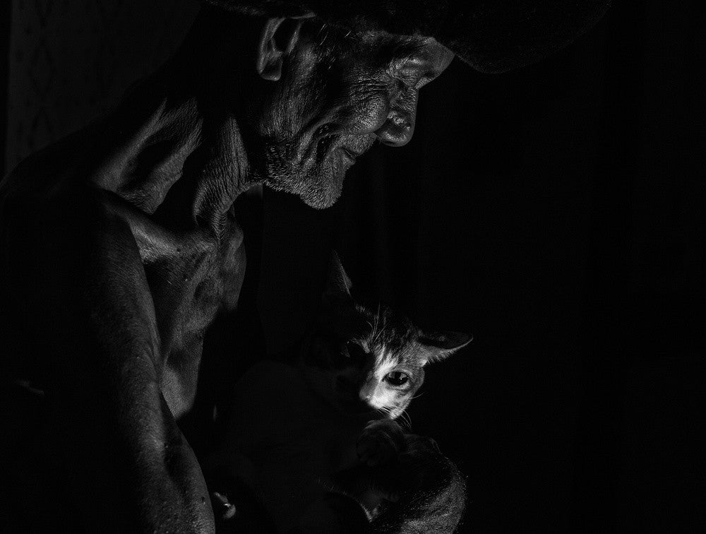 The Old Man and His Cat