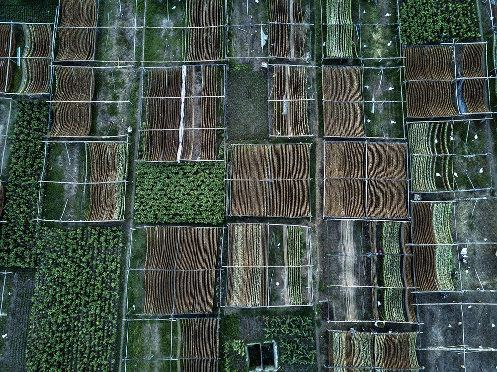 Fantastic pattern