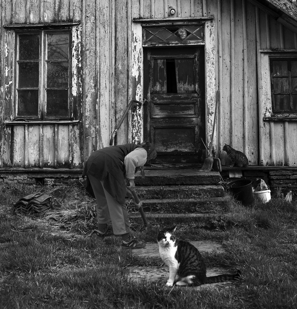 Lady &amp; cat