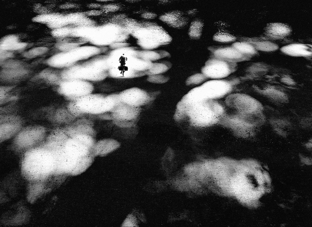 It's good to have a spin under the shade of a tree.....!