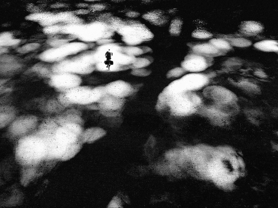 It's good to have a spin under the shade of a tree.....!