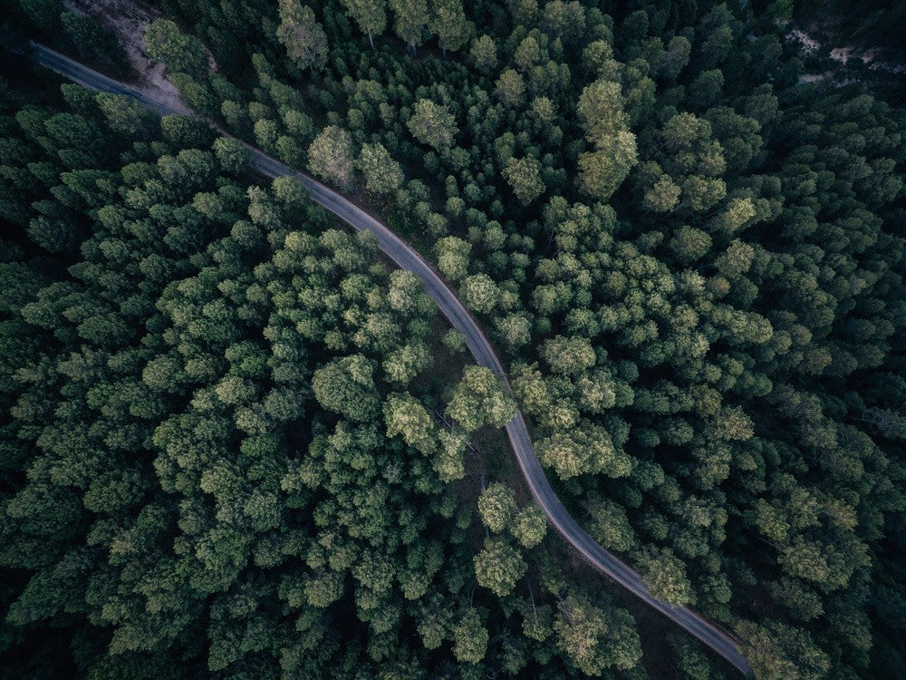Between trees