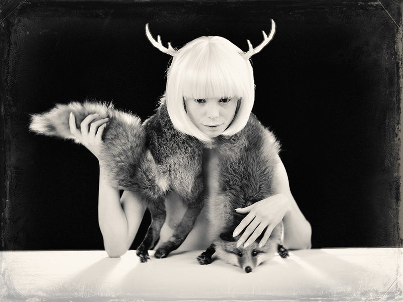 ME AND THE FOX