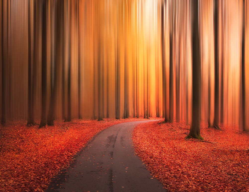 Path to unknown