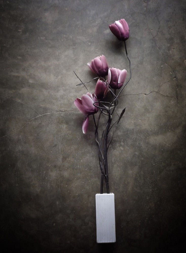 La Tulipe Violette