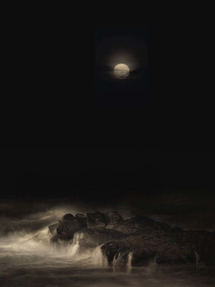 sea of shadows