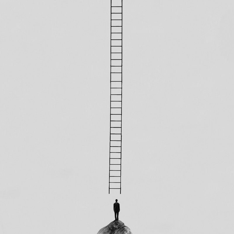 Ladder