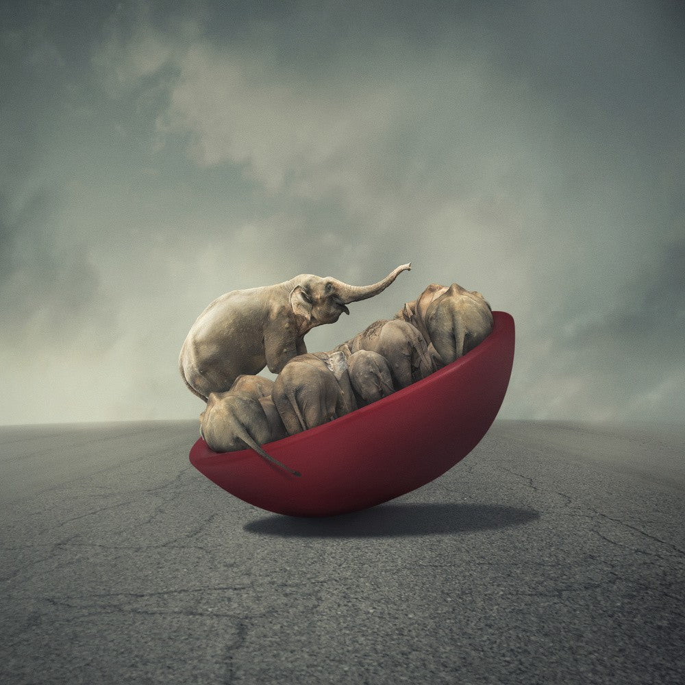 Life is a balance