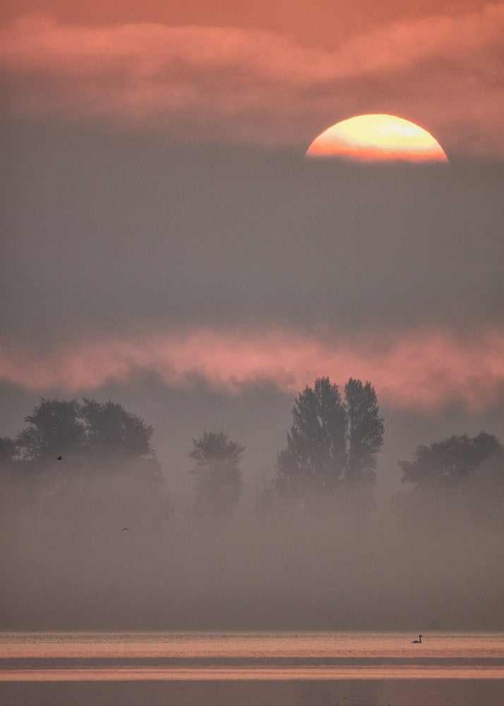 Sun III