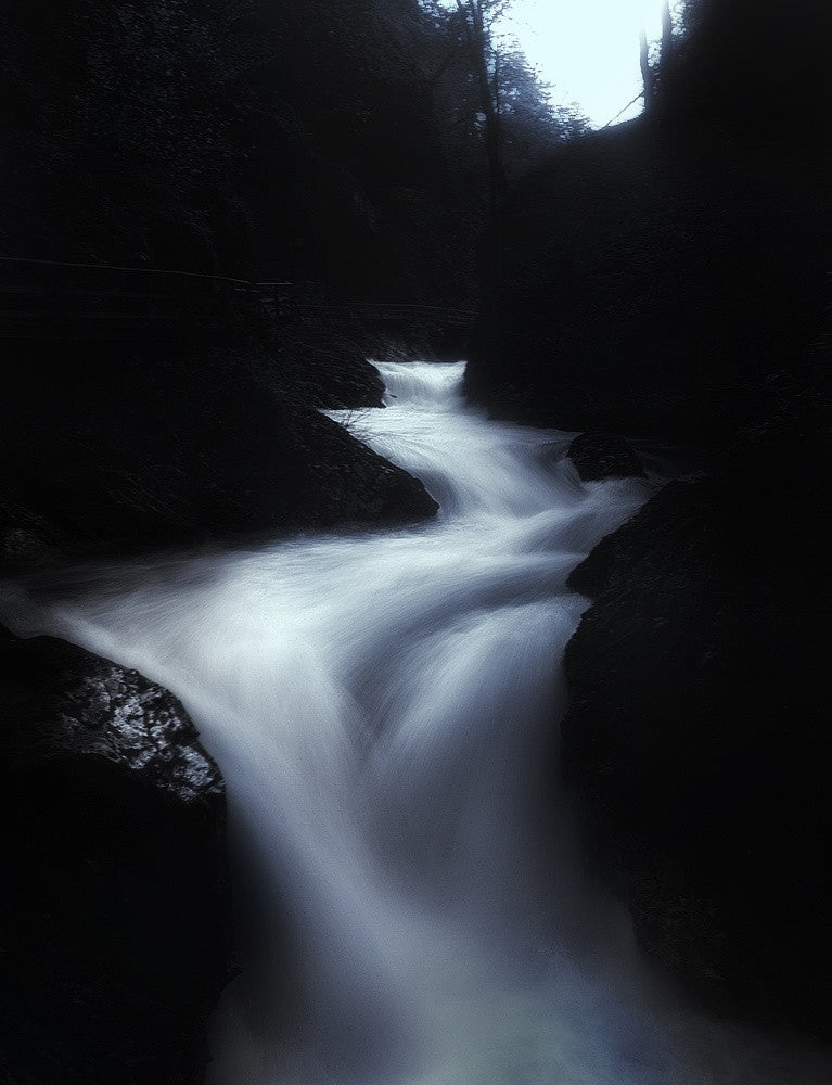 lady river