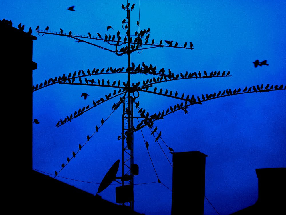 Night Meeting
