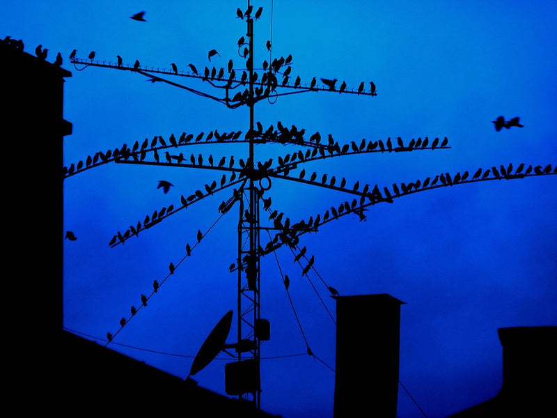 Night Meeting