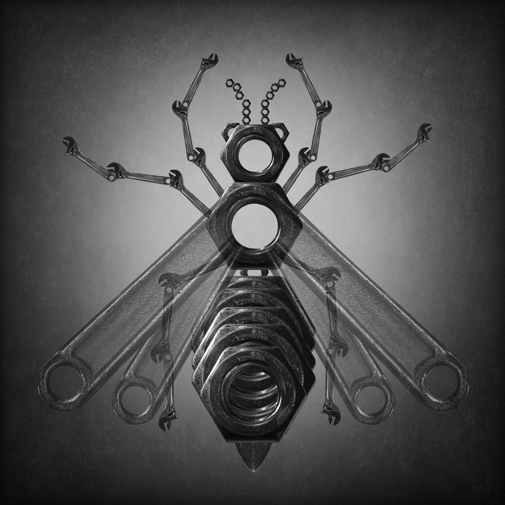 The wasp