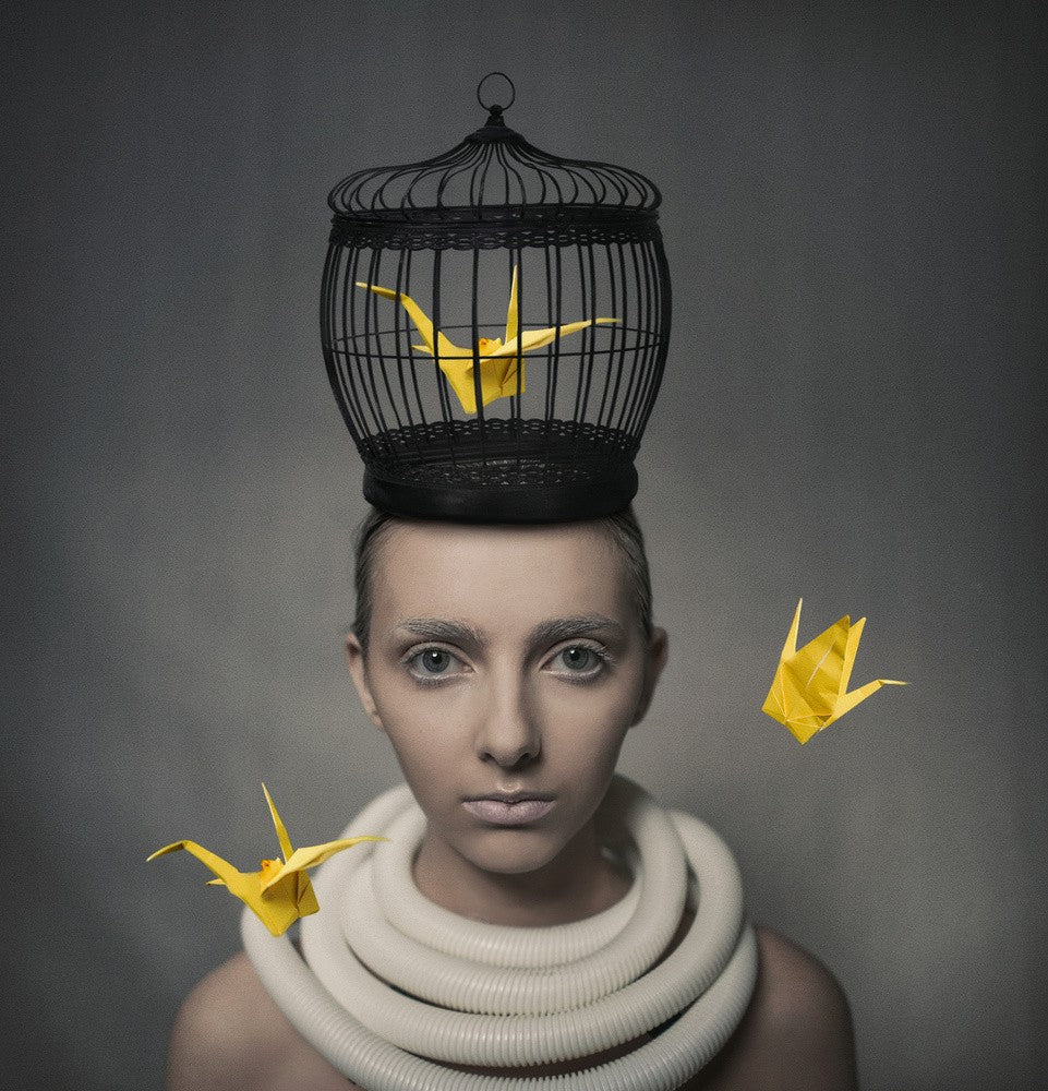 A Poem of Yellow Cranes