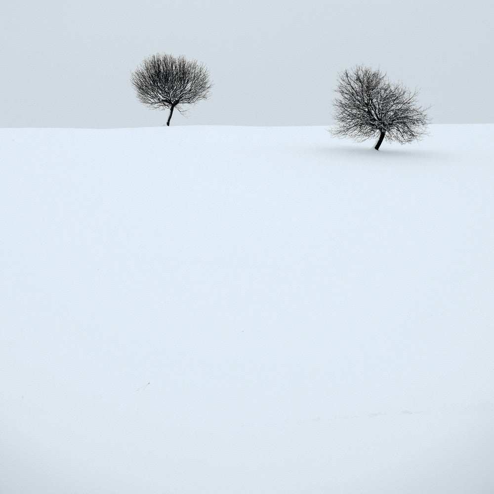 Stiller Winter