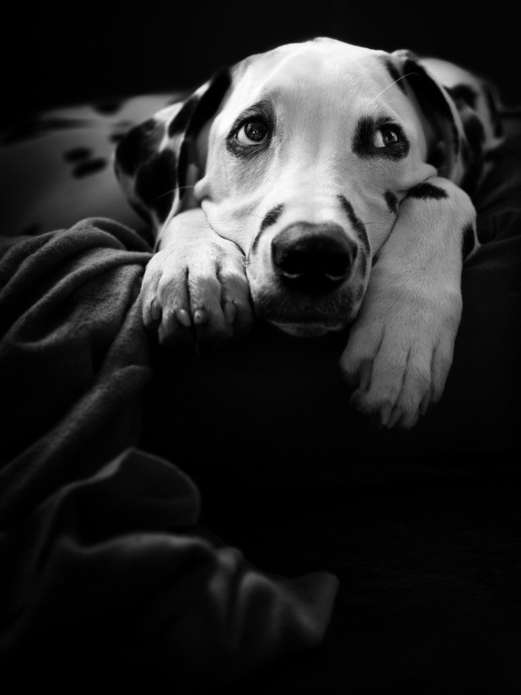 nothing is happening :-(