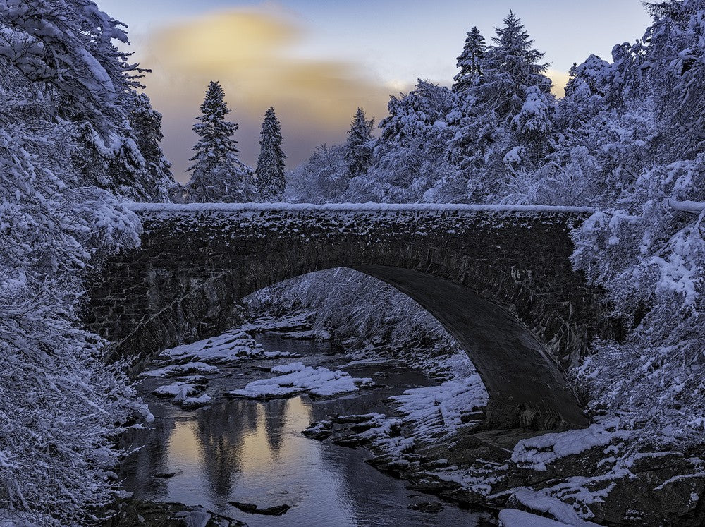 Highlands Bridge