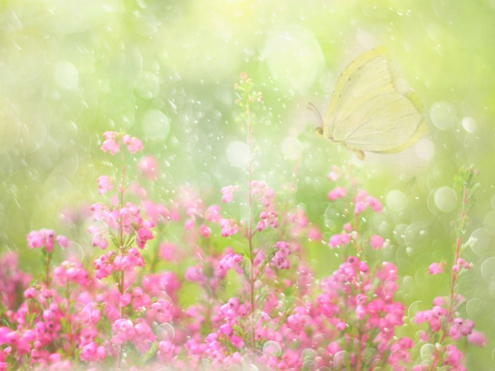 It's a beautiful day...