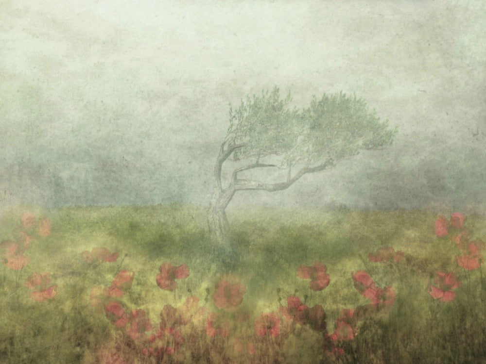 Incomplete Poetry