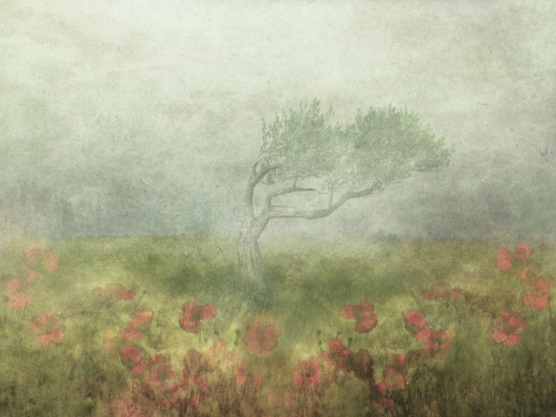 Incomplete Poetry