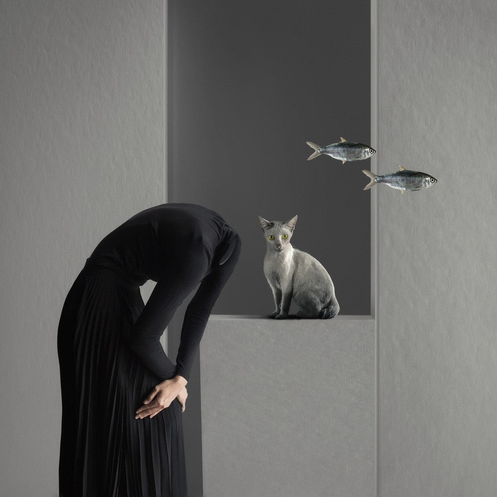 Wer hat meinen Fisch bewegt (Dialog)