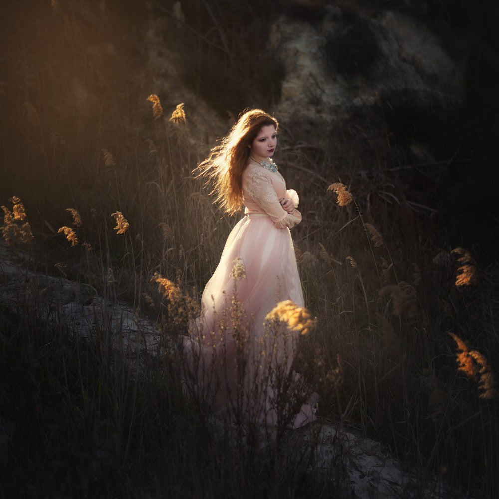 Fairy