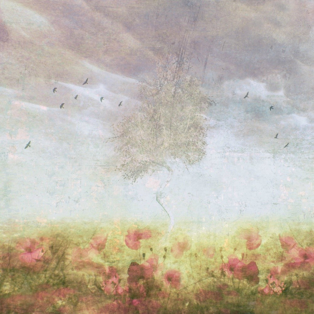 Day Dream