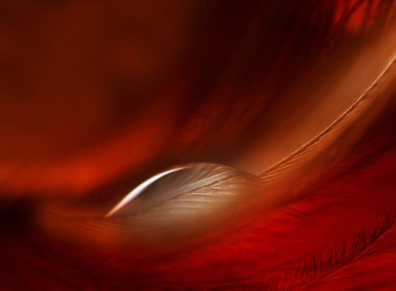 drop