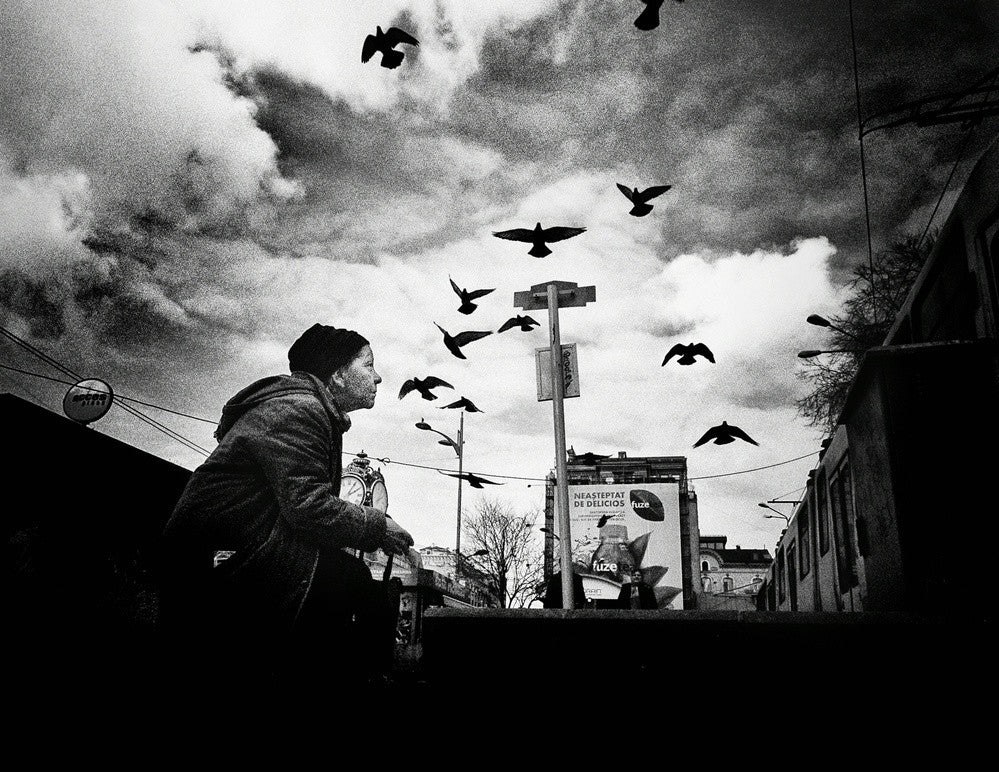 Birds Whisperer