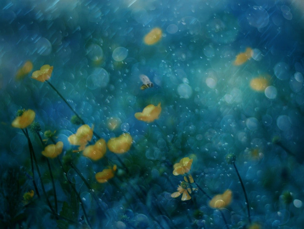 The Little Bee...