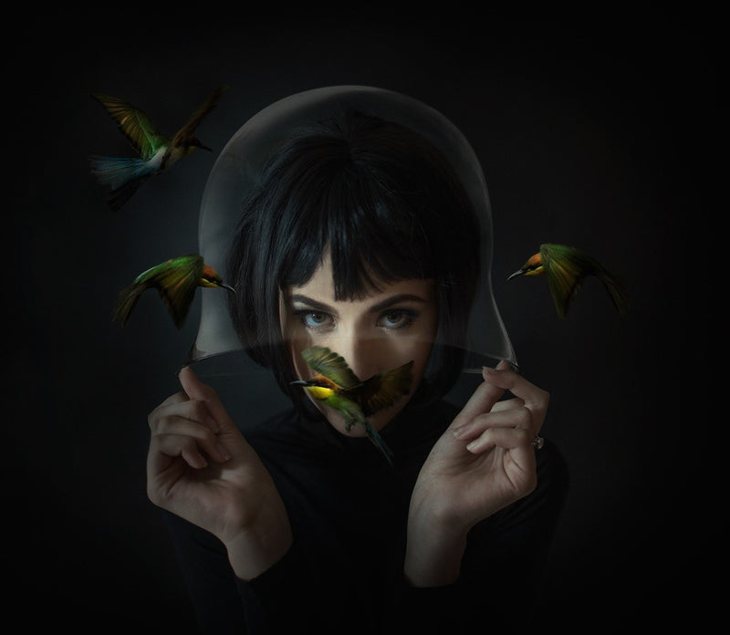 Four little birds