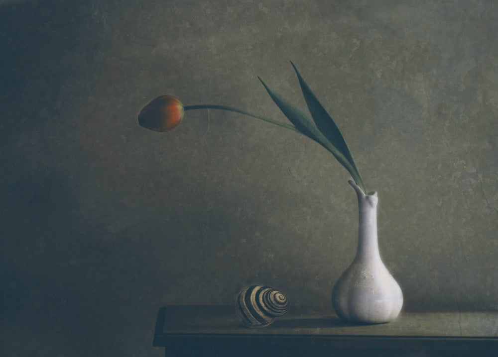 The Shell
