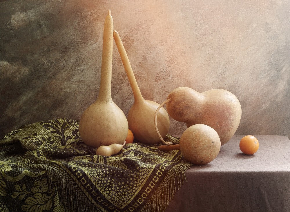 Still life with medicinal pumpkins