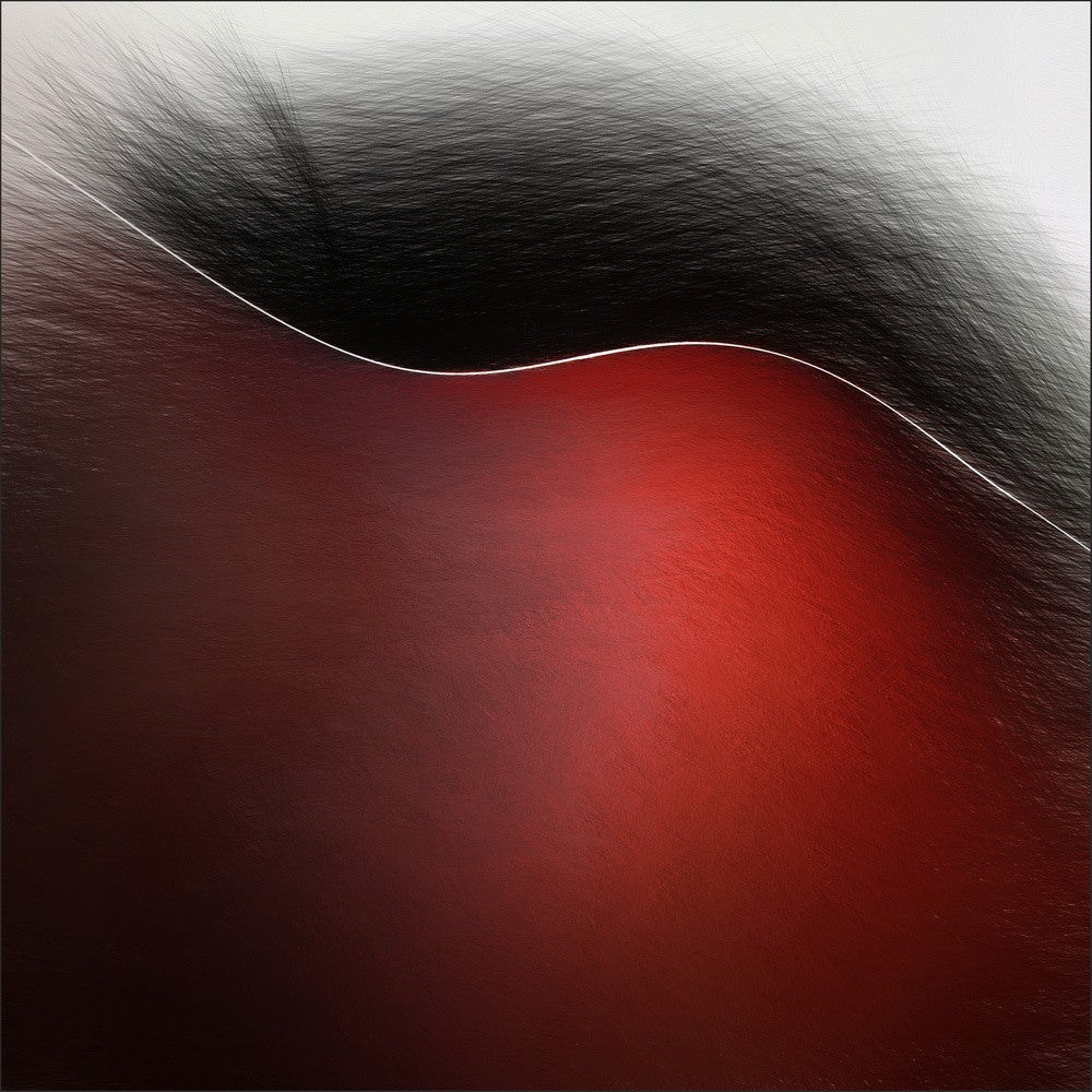 la luce nera