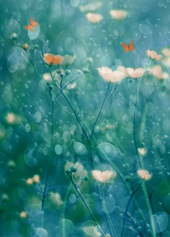 A Memory of June