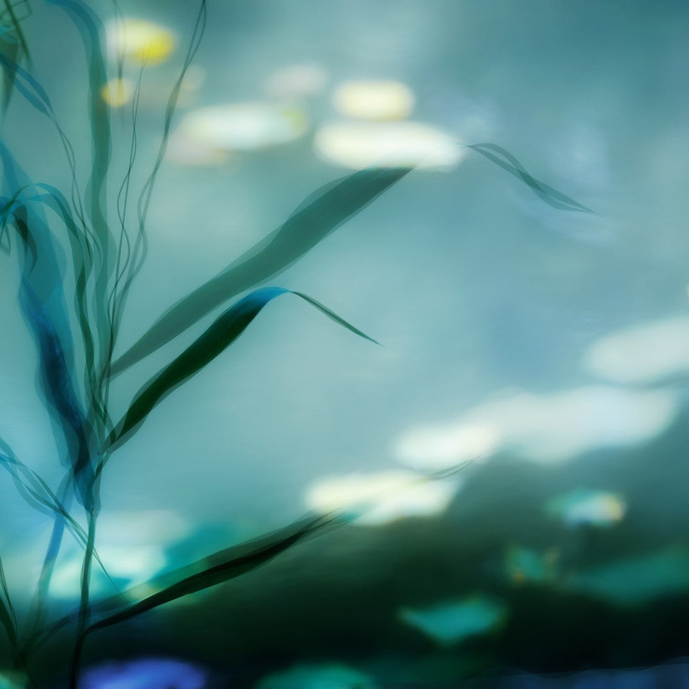 Ripples in Suzhou