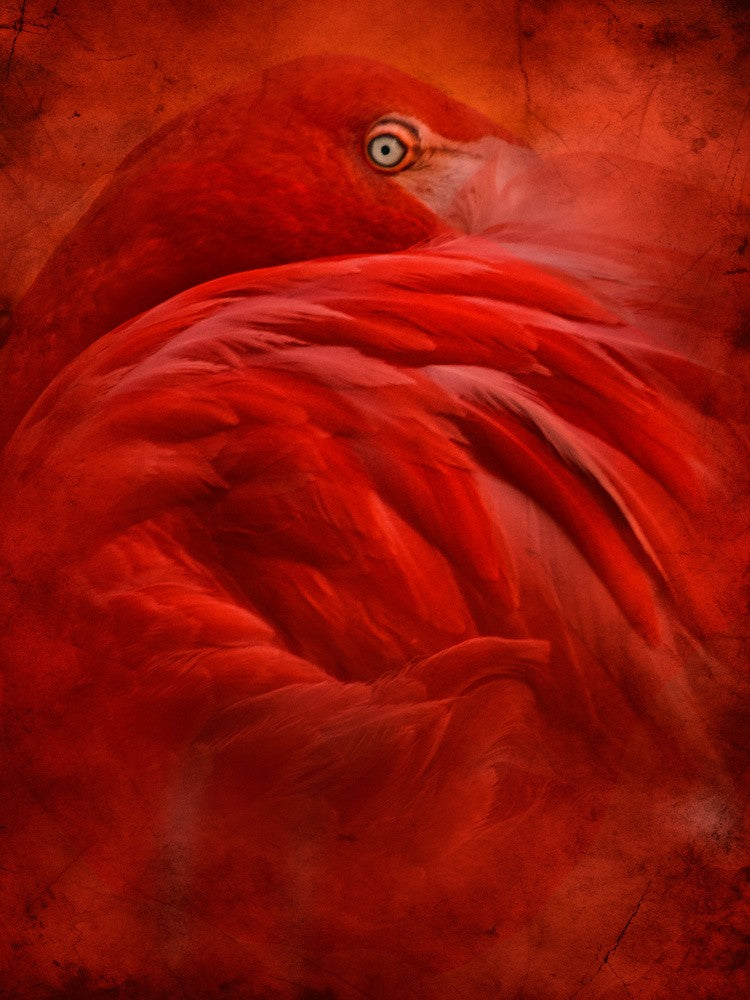 Tropen