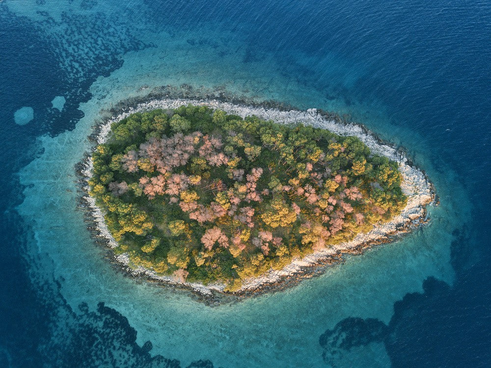 Insel
