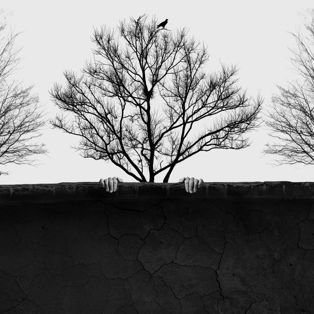 Wall