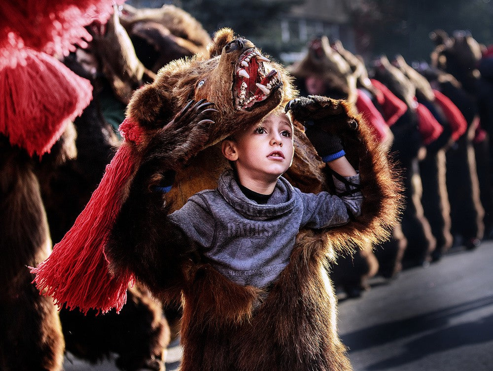 Der junge Bär (II)