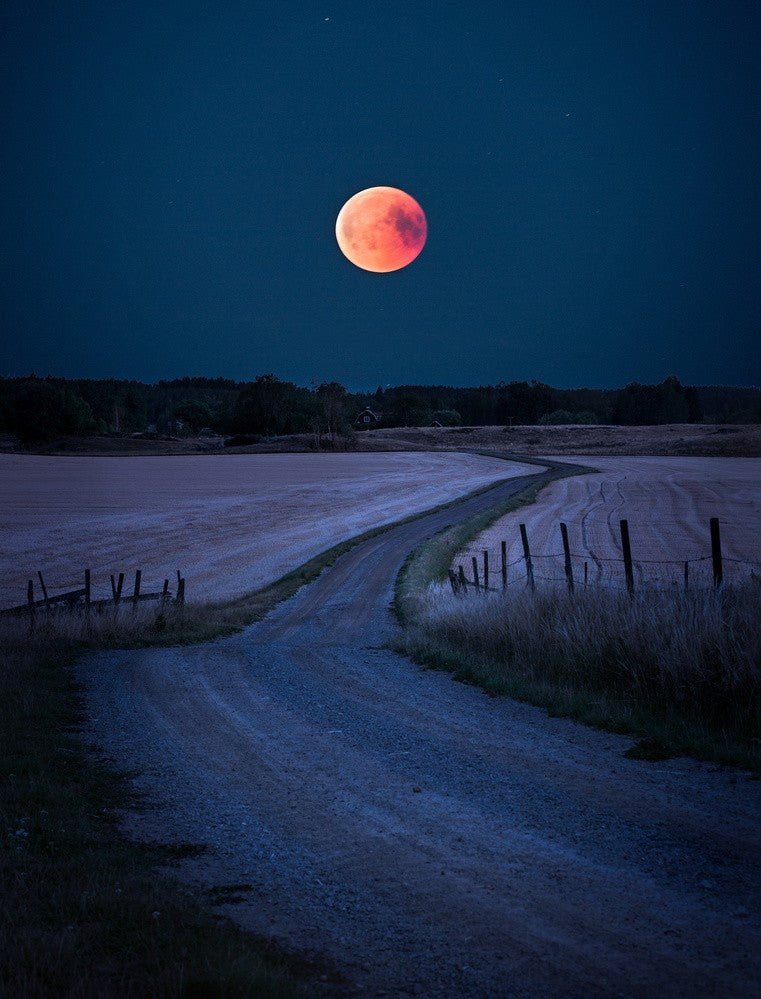 Bloodmoon 2018