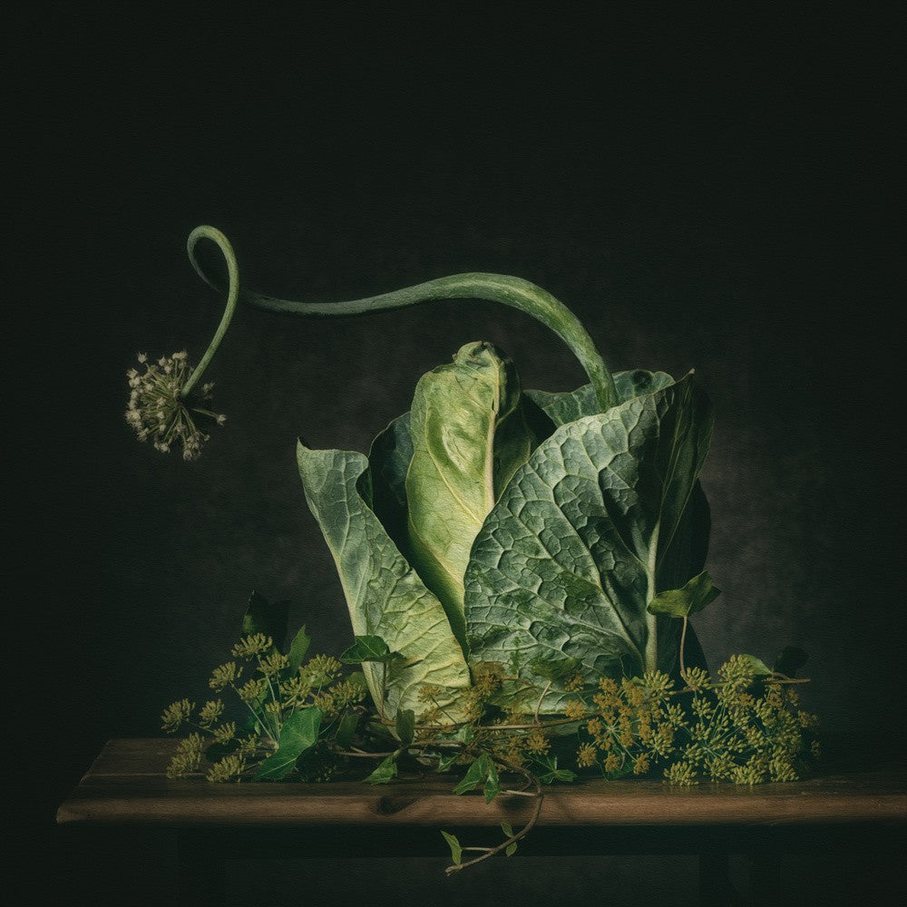 A green fairytale