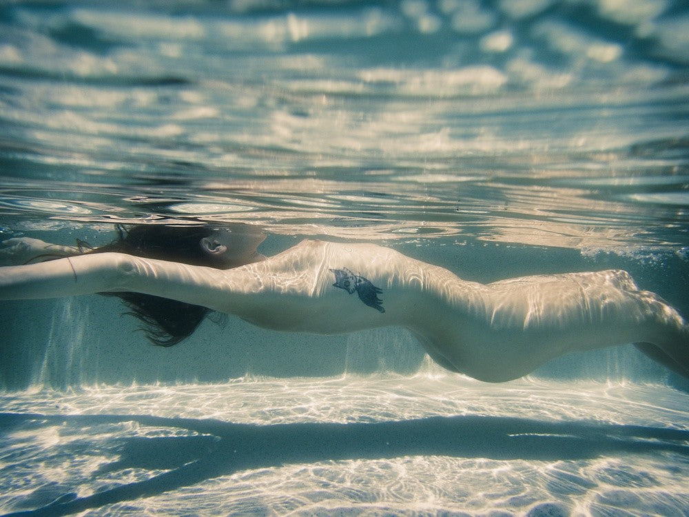 Fox under water