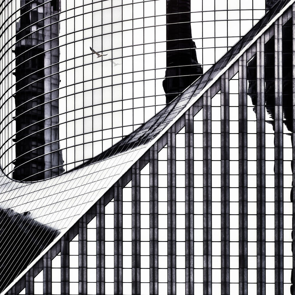 a world of glass