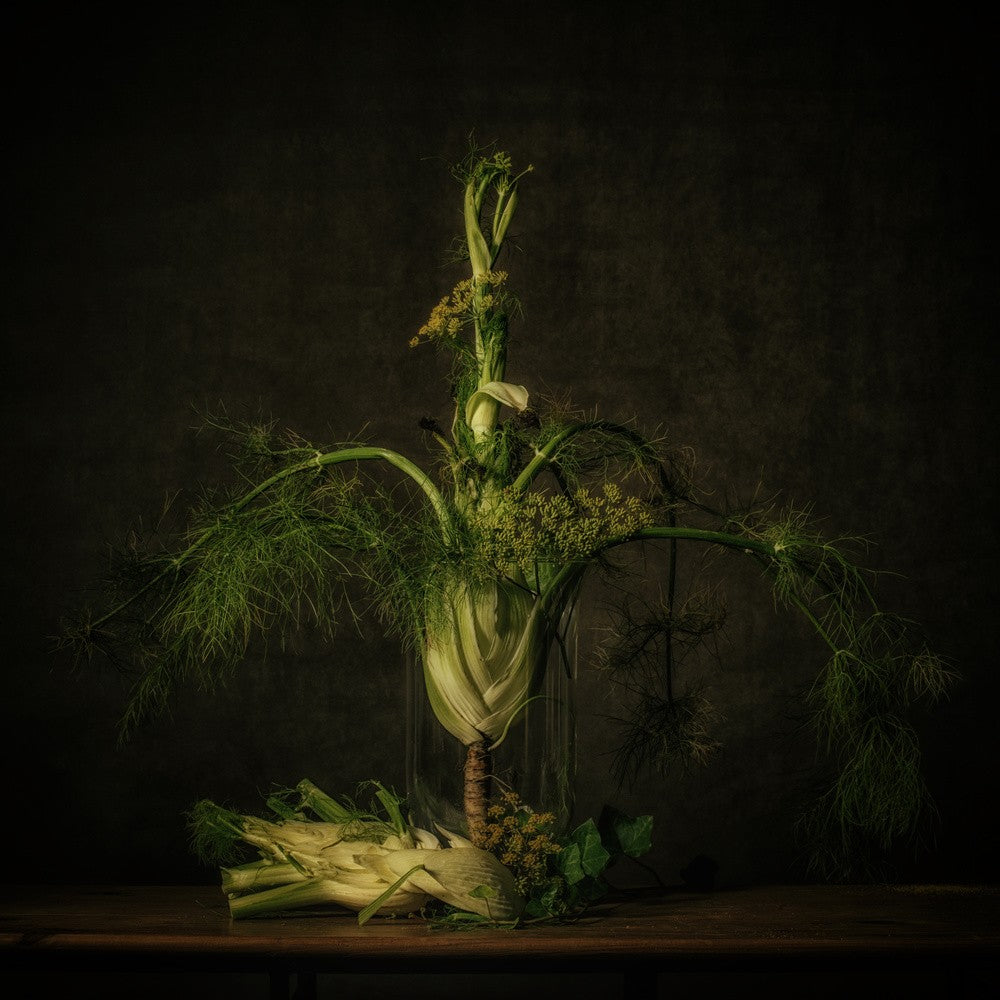 Stillleben Fenchel