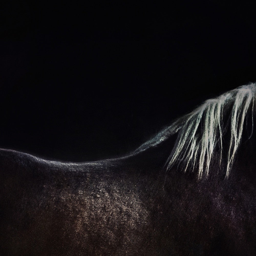 the naked horse