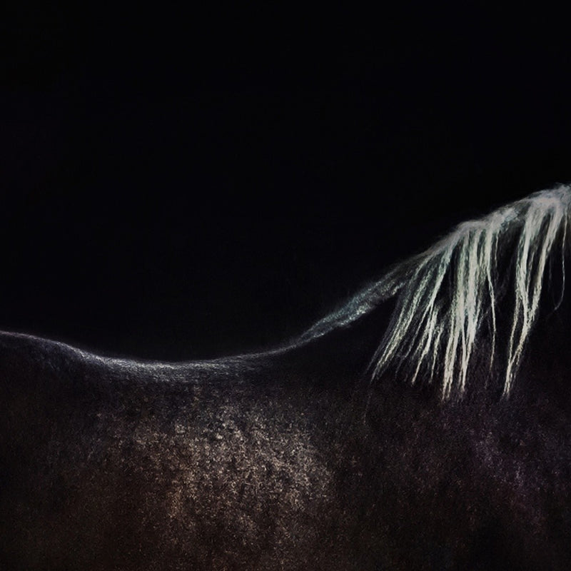 the naked horse