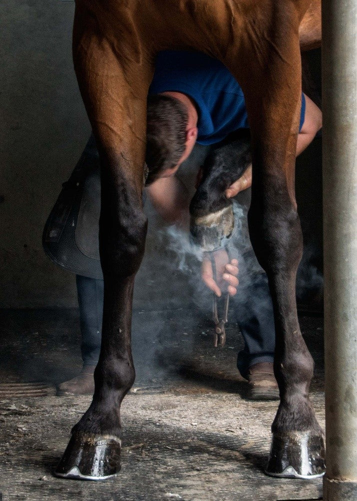 Fitting the Horseshoe